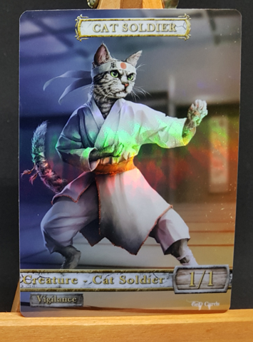 Foil Cat Soldier #02